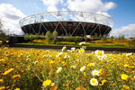 Olympic Stadium behind flower garden
